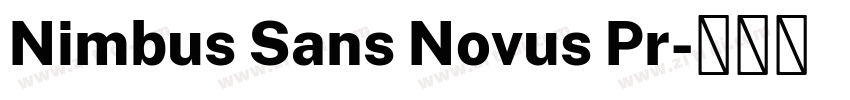 Nimbus Sans Novus Pr字体转换